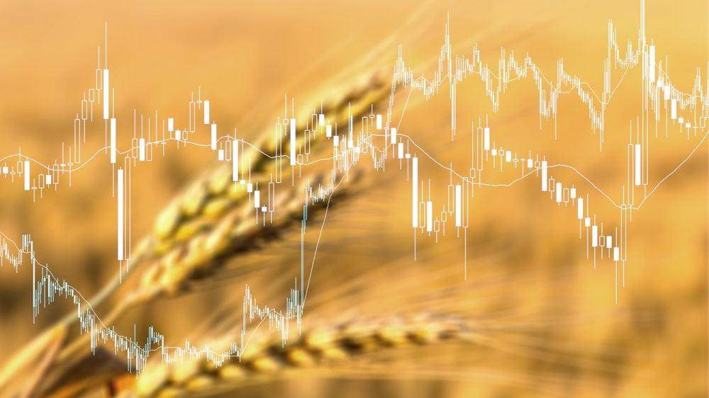 Sur le marché européen, les céréales restent pénalisées par la force de l'euro par rapport au dollar.