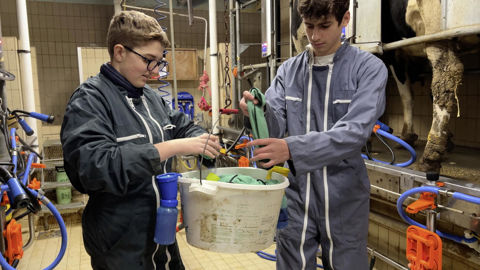 Justine et Jules sont de traite au lycée agricole Gilbert Martin du Neubourg (Eure).