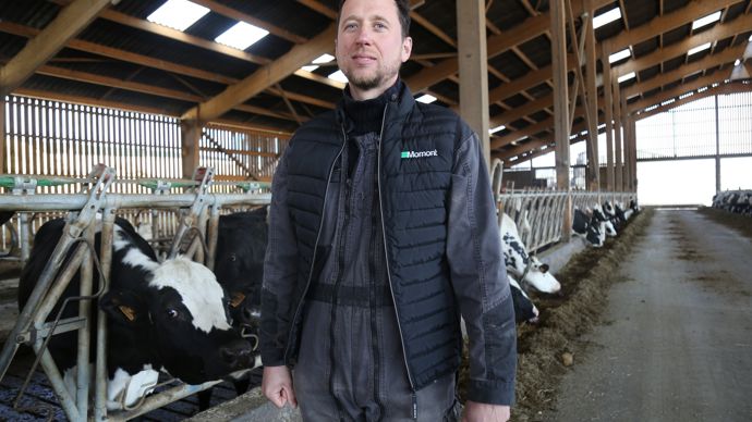 [] Les betteraves sécurisent la ration des vaches laitières