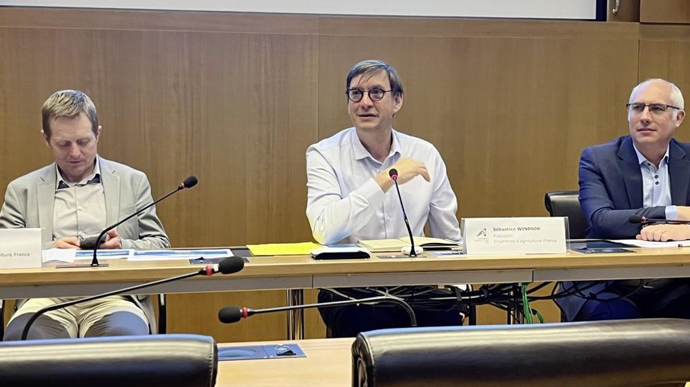 Olivier Lebert Sébastien Windsor et Arnaud Delestre