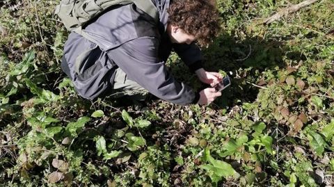 Etudiant effectuant un diagnostic de site en zone boisée. Etudiant effectuant un diagnostic de site en zone boisée.
