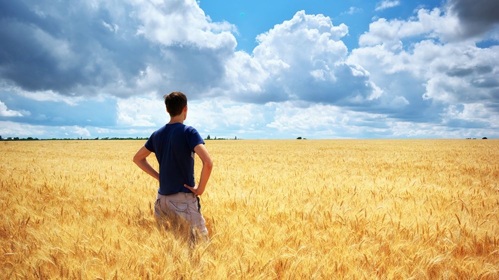 Selon la ministre de l'agriculture, l'essentiel des mesures concrètes pour les agriculteurs ont été validées.