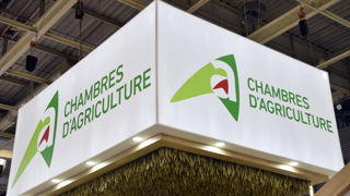 La Coordination rurale est arrivée en tête du collège des exploitants dans quatre chambres dont l'alliance FNSEA/JA a tout de même décroché la présidence.