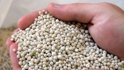 En 2024, plus d'un quart de ses importations de fertilisants provenait de Russie, soit 6,2 millions de tonnes sur un total de 24 millions de tonnes importées, tous engrais confondus.