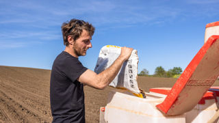 Il faut semer 60 000 à 70 000 graines/ha pour atteindre une densité de 50 000 à 55 000 pieds levés/ha. Il faut semer 60 000 à 70 000 graines/ha pour atteindre une densité de 50 000 à 55 000 pieds levés/ha.