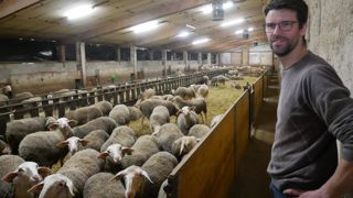 David Argentier, éleveur ovin bio à Saint-Saturnin-de-Lenne (Aveyron), a mis en place le photopériodisme pour ces agnelles, ce qui a nécessité un faible investissement.