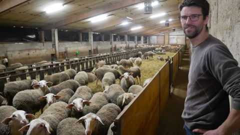David Argentier, éleveur ovin bio à Saint-Saturnin-de-Lenne (Aveyron), a mis en place le photopériodisme pour ces agnelles, ce qui a nécessité un faible investissement.