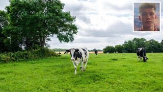 En lait, en agriculture biologique, « on ne produit pas forcément moins, on peut produire autant », estime le jeune éleveur. En lait, en agriculture biologique, « on ne produit pas forcément moins, on peut produire autant », estime le jeune éleveur.