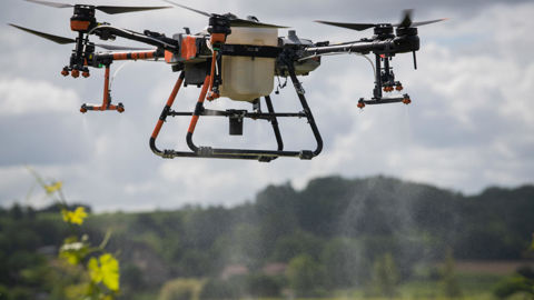 En plus d'autoriser l'épandage par drone sur des parcelles de vigne escarpées, le texte généralise les essais à tous types de culture et de parcelle.