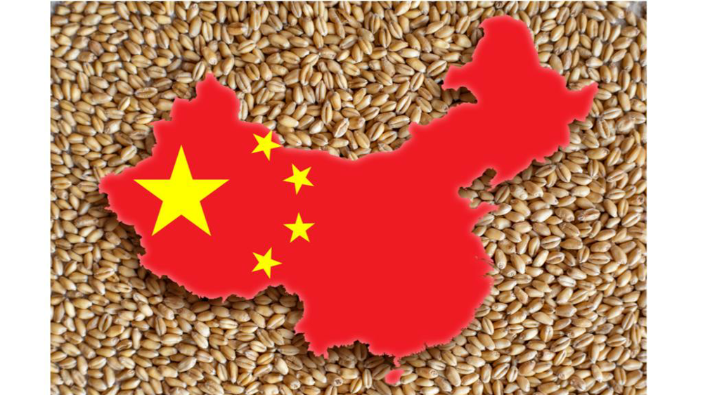 Grains de blé et contour de la Chine avec drapeau