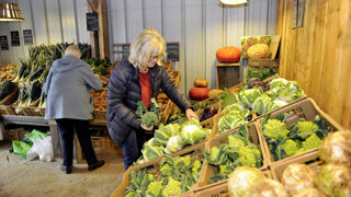 Le manque de choix parmi les produits est cité par 15 % des répondants comme un frein à l'achat en circuit court. Ce critère progresse de 6 points. Le manque de choix parmi les produits est cité par 15 % des répondants comme un frein à l'achat en circuit court. Ce critère progresse de 6 points.