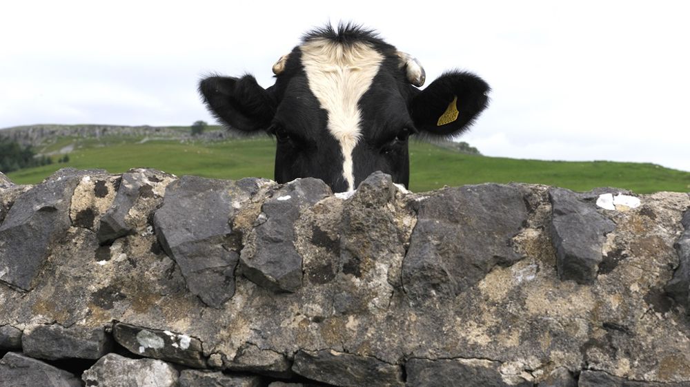 Vous aussi, vous vous posez des questions sur les hormones ? Vous aussi, vous vous posez des questions sur les hormones ?