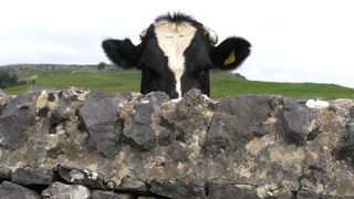 Vous aussi, vous vous posez des questions sur les hormones ?