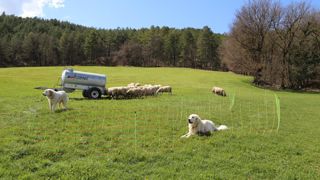 La ferme expérimentale de Carmejane, l’impact de la prédation et de la mise en place des moyens de protection se traduit par un reste à charge de plus de 12 000 euros par an.