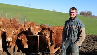 « La prairie est une culture comme les autres, souligne Pierre Cazes. Les apports en calcaire sont primordiaux. »