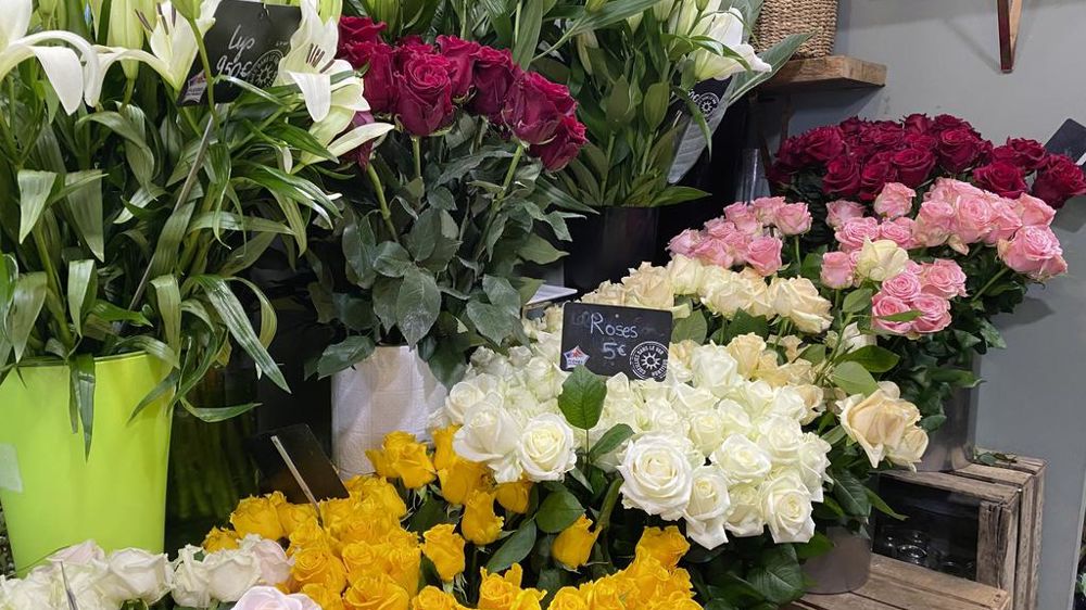 Fleurs Hortisud cueillies dans le Var.