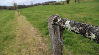 La clôture, partenaire indispensable d’une bonne gestion du pâturage, demande un entretien régulier.