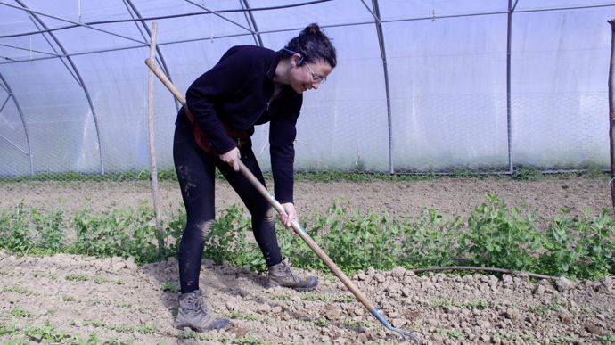 Être double actif pour « ne pas mettre tous ses œufs dans le même panier »