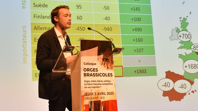 « Nous avions beaucoup de grains et nous avons raté des opportunités de commercialisation en 2024 », a regretté Alexis Garnot, trader orge pour Soufflet négoce by InVivo lors du colloque Orges brassicoles, jeudi 3 avril, à Orléans (Loiret).
