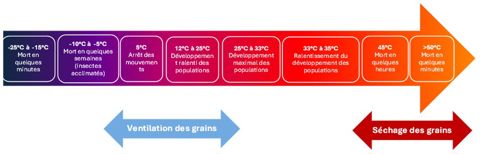 Diagramme de la cinétique de développement des infestations au stockage