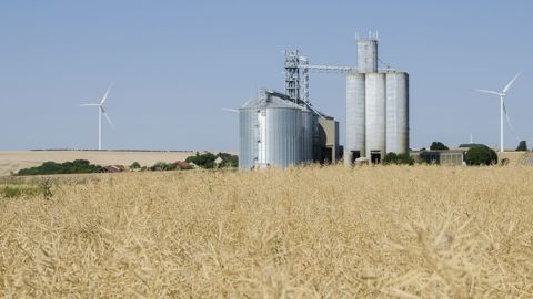 Aucune chance de survie au champ pour ces insectes dans les conditions climatiques françaises.