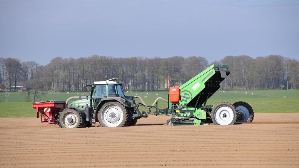 Plantation pommes de terre