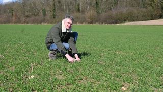 Le mélange de variétés de blé semé par Emmanuel Drique après un colza au début de novembre a reçu 33 unités d’azote au début de mars à la suite d'une mesure d’INN inférieure au seuil de déclenchement.