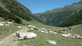 En été, l'approvisionnement en eau devient un défi sur certaines zones d'estive. En été, l'approvisionnement en eau devient un défi sur certaines zones d'estive.