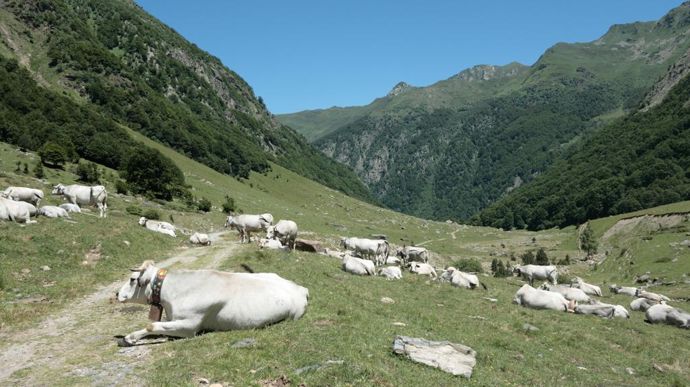 En été, l'approvisionnement en eau devient un défi sur certaines zones d'estive.