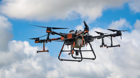 La loi permet la conduite d'expérimentations sur tous types de cultures et de parcelles, « en vue le cas échéant, d'une autorisation pérenne de cet usage ». La loi permet la conduite d'expérimentations sur tous types de cultures et de parcelles, « en vue le cas échéant, d'une autorisation pérenne de cet usage ».