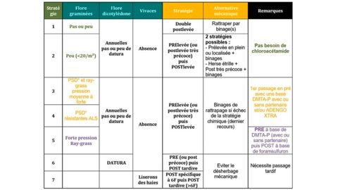 Programme de désherbage pour maïs