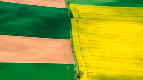 Pour la récolte 2025, Agreste rend compte d'un rebond limité pour les surfaces de céréales à paille et d'une légère réduction pour le colza. Pour la récolte 2025, Agreste rend compte d'un rebond limité pour les surfaces de céréales à paille et d'une légère réduction pour le colza.