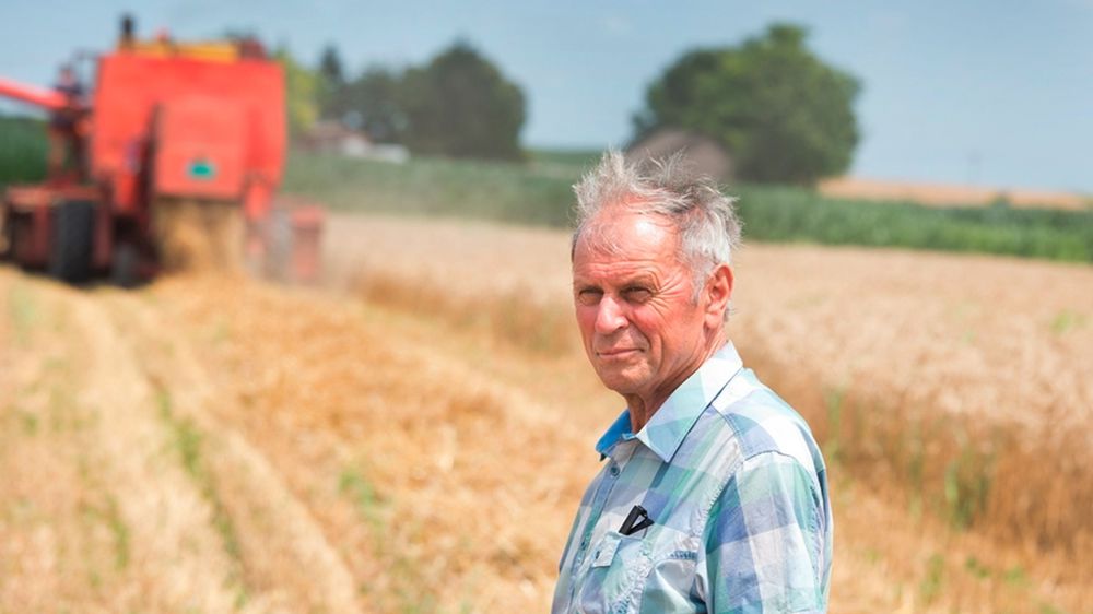 Vieil agriculteur dans un champ pendant la moisson