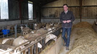 Fourrage de qualité, analyse de fourrage, levures et pesée augmentent l'indice de consommation, indique Alain Guilloux.