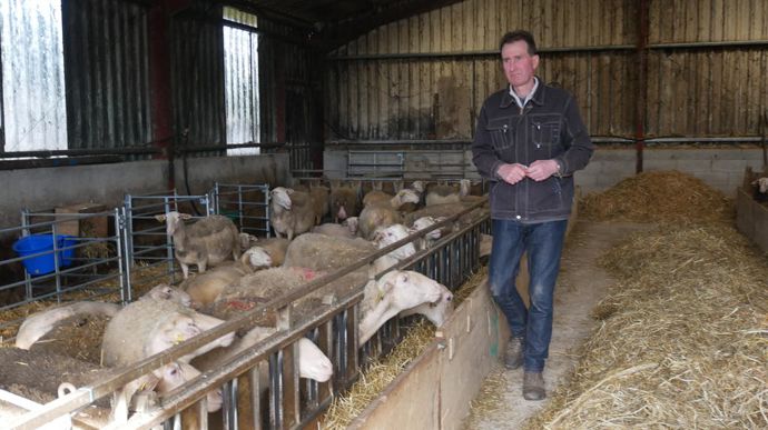 « Pour diluer les coûts, je cherche à produire beaucoup d’agneaux »