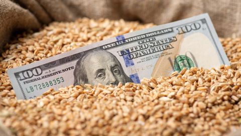 Mercredi 16 avril, le dollar s'échangeait à près de 1,14 dollar pour un euro, contre moins de 1,05 dollar début mars.