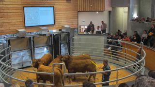 Dix marchés au cadran ont décidé d'investir dans leurs outils informatiques pour en assurer l'avenir.