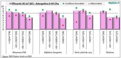 Efficacité à 30 jours de Adengo Xtra à 0,44 l/ha sur graminées estivales selon la densité présente dans le maïs et les conditions d’application de l’herbicide Efficacité à 30 jours de Adengo Xtra à 0,44 l/ha sur graminées estivales selon la densité présente dans le maïs et les conditions d’application de l’herbicide