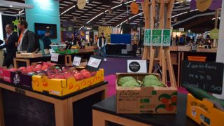 Quand on propose une liste de labels aux personnes interrogées dans l’étude Selvitys pour Fruits de valeur, la notoriété du label AB atteint 85 % contre 40 % dans le cas de réponses spontanées.