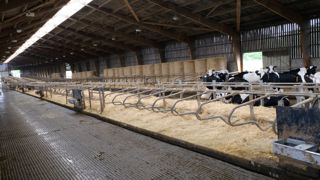 En bâtiment, il faut dans l’idéal un point d’eau tous les quarante mètres afin que tout animal puisse trouver de l’eau à moins de vingt mètres de sa position.