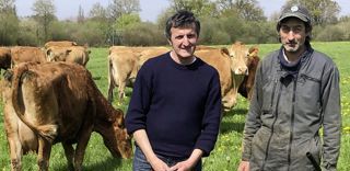 Le cheptel de cent froments du Léon de Thierry Lemarchand et Jean-François Lemarchand (Ille-et-Vilaine) est le plus important à l’heure actuelle.