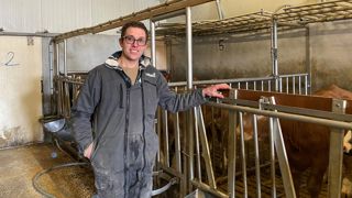 Clément Gélineau : "Au regard du temps passé, l'atelier d'engraissement apporte un revenu stable." Clément Gélineau : "Au regard du temps passé, l'atelier d'engraissement apporte un revenu stable."