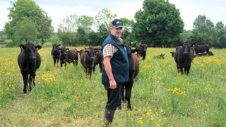 Sur sa ferme de Rochefort-sur-Loire, Cyril Besnard groupe ses vêlages et garde ses trente premiers veaux, croisés avec de l’Angus, pour les engraisser.