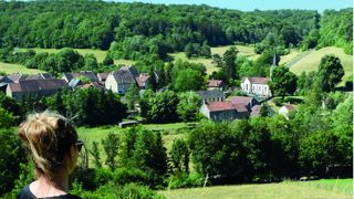 Le Petit Futé consacre un guide au parc national de forêts, situé entre Côte-d’Or et Haute-Marne. Le Petit Futé consacre un guide au parc national de forêts, situé entre Côte-d’Or et Haute-Marne.