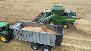 L’organisation des Nations unies pour l’alimentation et l’agriculture (FAO) s’attend à une production de blé mondiale pour la campagne de 2025-2026 qui égalerait celle de 2024-2025.