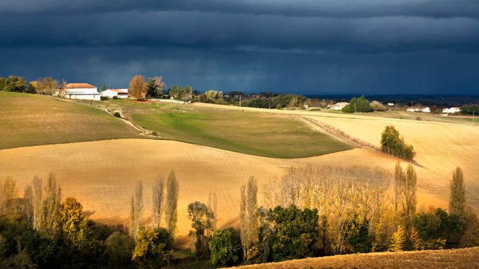En proie à un contexte économique difficile, le paysage coopératif en Occitanie et Nouvelle-Aquitaine est en plein bouleversement.
