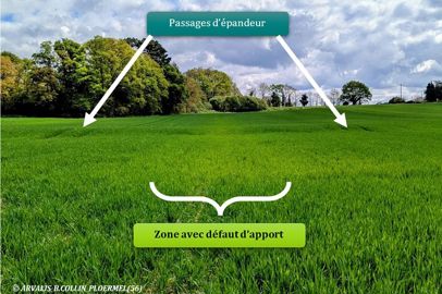 Mauvaise répartition des apports d’azote