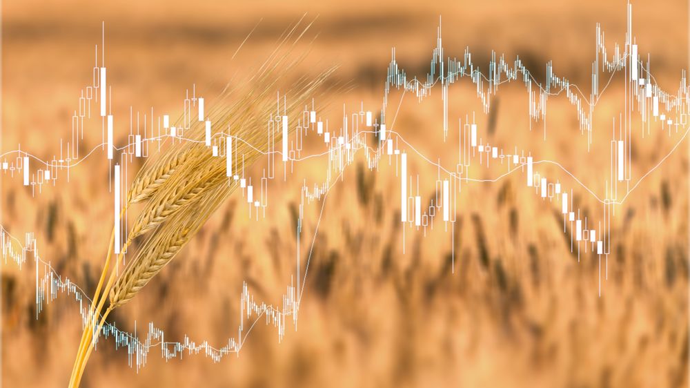 Mercredi 7 mai, les cours du blé sont tombés sous la barre symbolique des 200 euros la tonne sur l'échéance la plus rapprochée en séance sur Euronext. Mercredi 7 mai, les cours du blé sont tombés sous la barre symbolique des 200 euros la tonne sur l'échéance la plus rapprochée en séance sur Euronext.