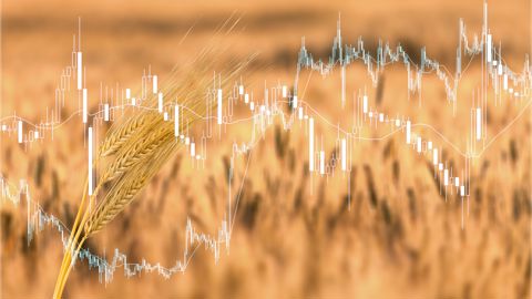 Mercredi 7 mai, les cours du blé sont tombés sous la barre symbolique des 200 euros la tonne sur l'échéance la plus rapprochée en séance sur Euronext. Mercredi 7 mai, les cours du blé sont tombés sous la barre symbolique des 200 euros la tonne sur l'échéance la plus rapprochée en séance sur Euronext.
