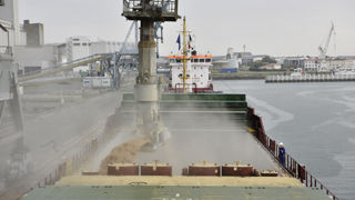 « En février, mars et avril 2025, les exportations françaises ont été assez dynamiques vers l’Union européenne », a indiqué Habasse Diagouraga, de FranceAgriMer le 16 avril.